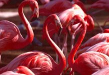 Belgrade a City Between Two Rivers